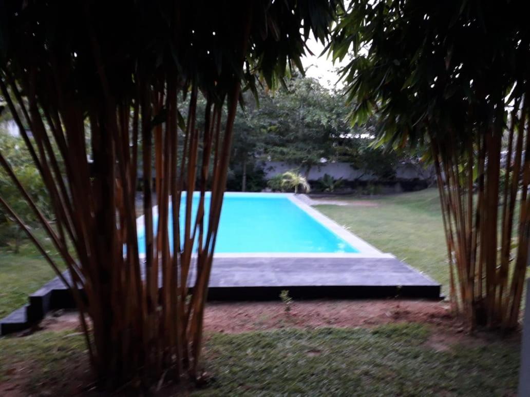 Kithula Boutique Hotel 希克杜沃 外观 照片